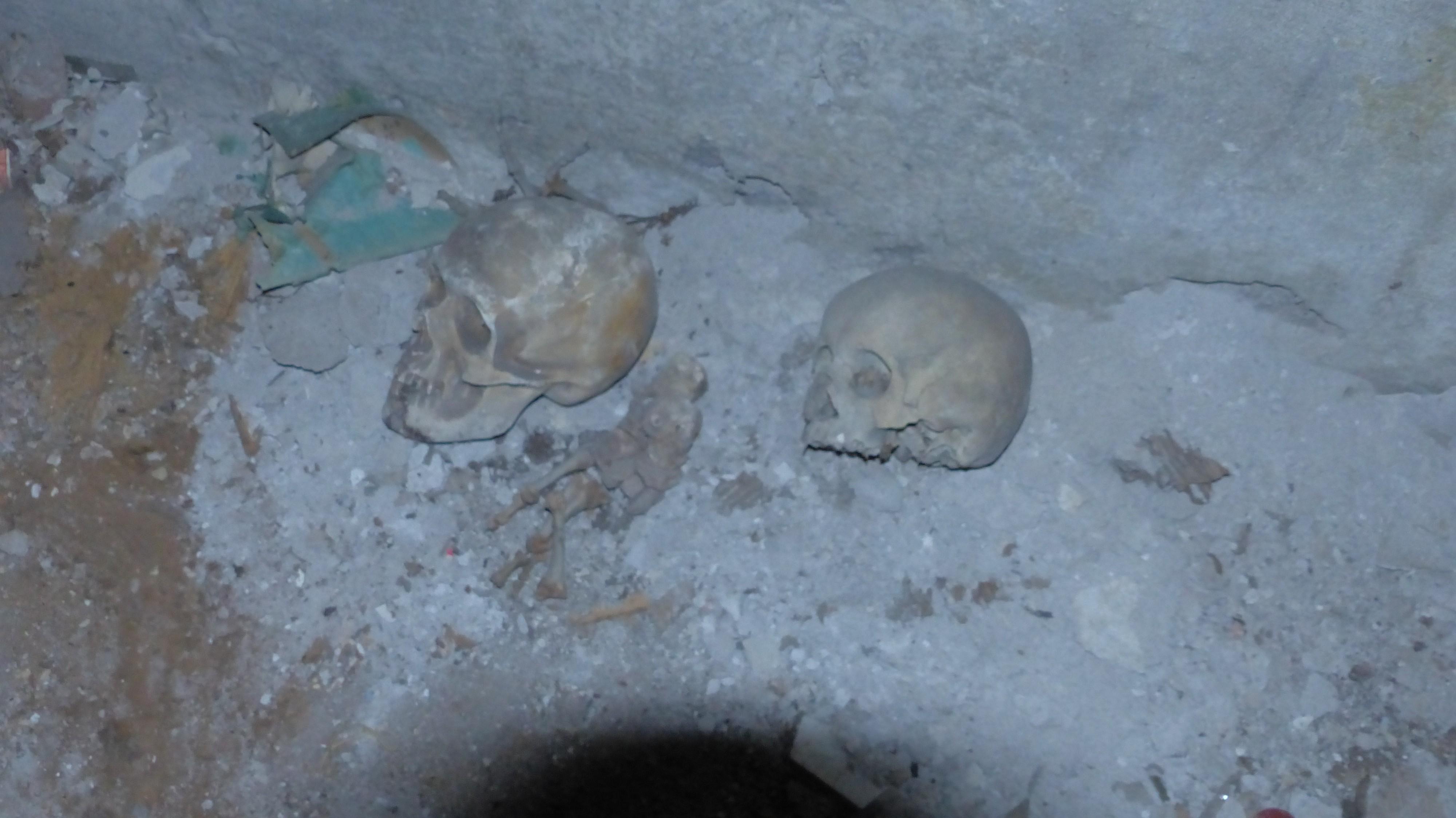 Immagine per Dall'ex scuola Pitteri emergono due teschi, la curiosa scoperta a Gorizia